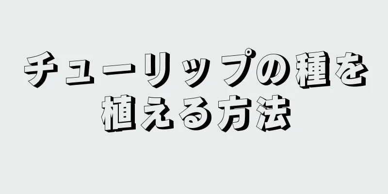 チューリップの種を植える方法