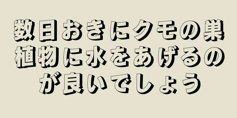 数日おきにクモの巣植物に水をあげるのが良いでしょう