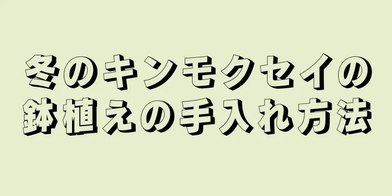 冬のキンモクセイの鉢植えの手入れ方法