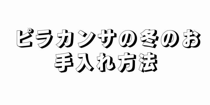 ピラカンサの冬のお手入れ方法