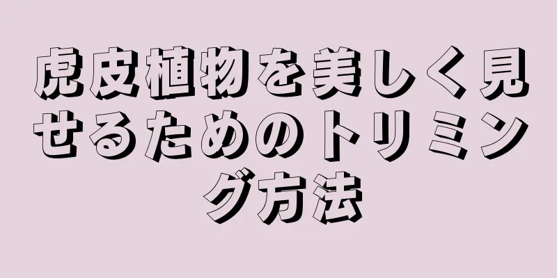 虎皮植物を美しく見せるためのトリミング方法