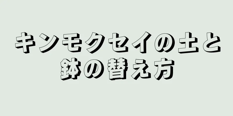 キンモクセイの土と鉢の替え方