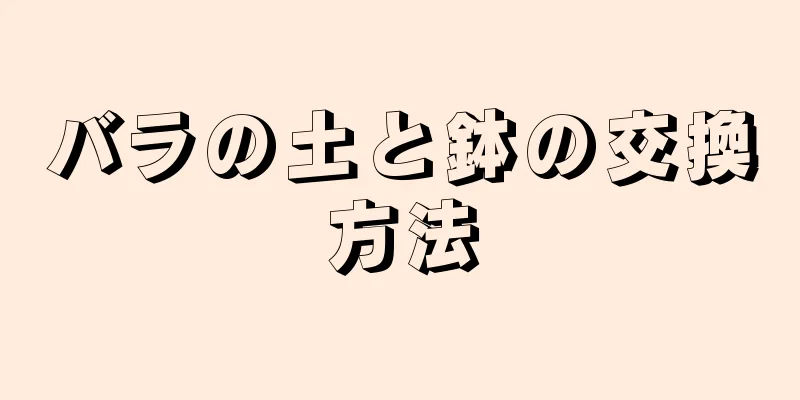 バラの土と鉢の交換方法