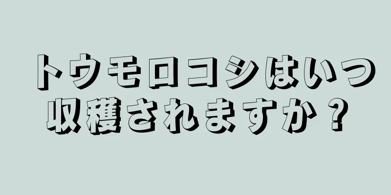 トウモロコシはいつ収穫されますか？