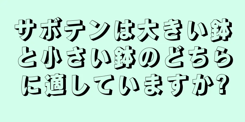 サボテンは大きい鉢と小さい鉢のどちらに適していますか?