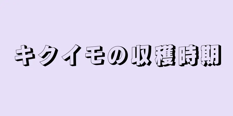 キクイモの収穫時期