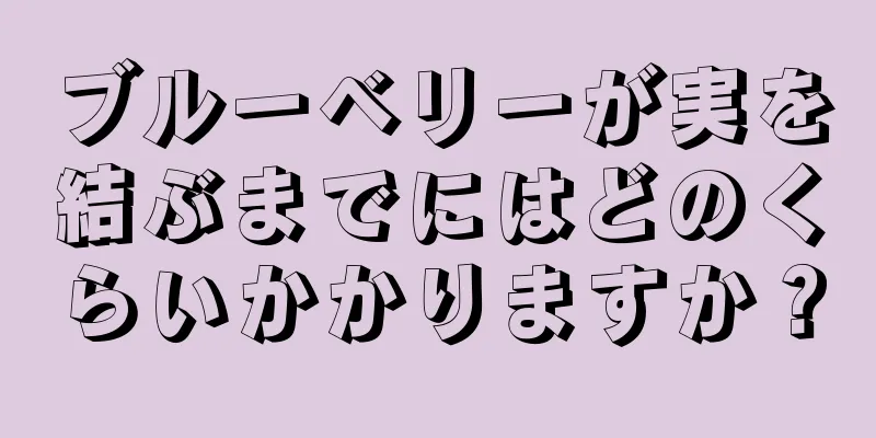 ブルーベリーが実を結ぶまでにはどのくらいかかりますか？