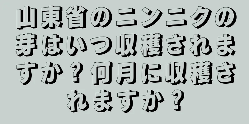 山東省のニンニクの芽はいつ収穫されますか？何月に収穫されますか？
