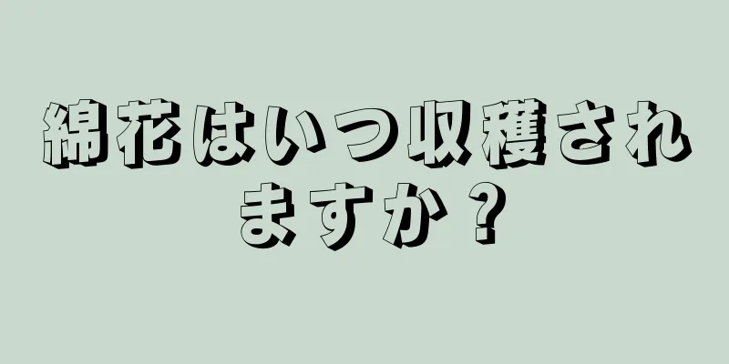 綿花はいつ収穫されますか？