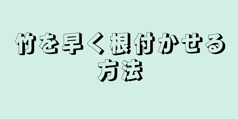 竹を早く根付かせる方法