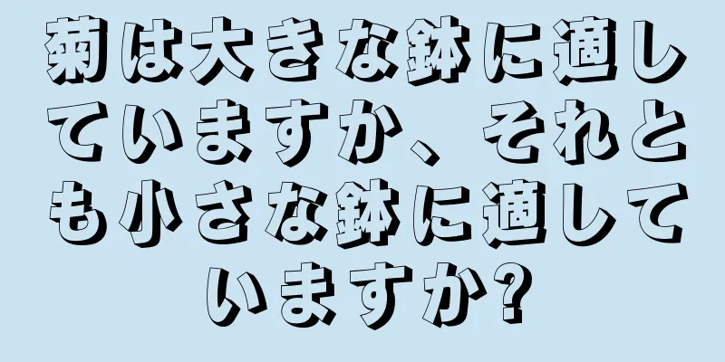 菊は大きな鉢に適していますか、それとも小さな鉢に適していますか?