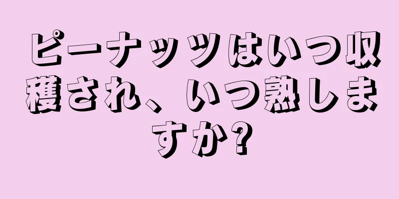 ピーナッツはいつ収穫され、いつ熟しますか?