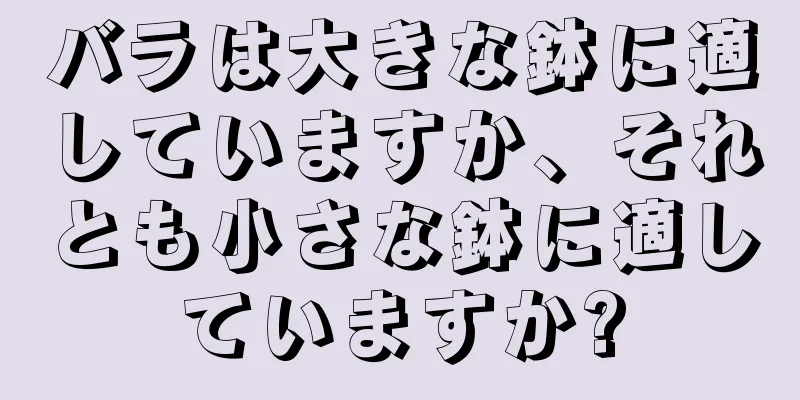 バラは大きな鉢に適していますか、それとも小さな鉢に適していますか?