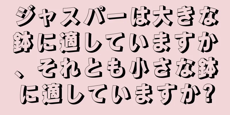 ジャスパーは大きな鉢に適していますか、それとも小さな鉢に適していますか?