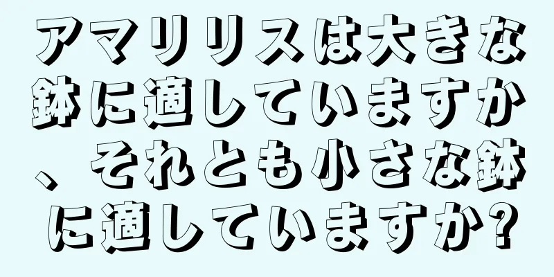 アマリリスは大きな鉢に適していますか、それとも小さな鉢に適していますか?