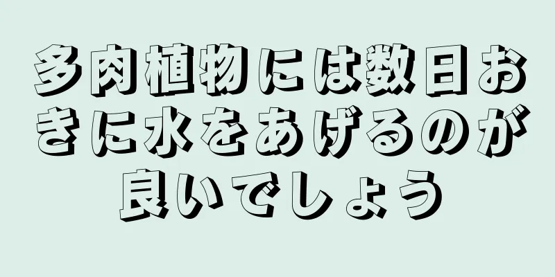 多肉植物には数日おきに水をあげるのが良いでしょう