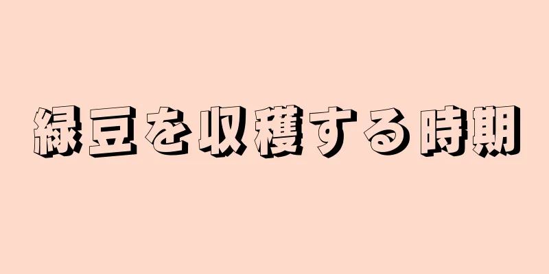緑豆を収穫する時期