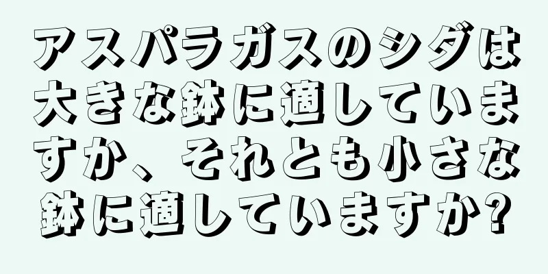 アスパラガスのシダは大きな鉢に適していますか、それとも小さな鉢に適していますか?
