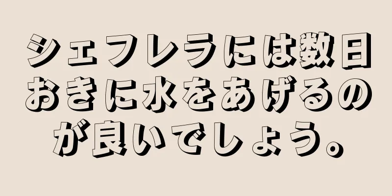 シェフレラには数日おきに水をあげるのが良いでしょう。