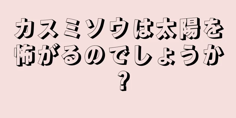 カスミソウは太陽を怖がるのでしょうか？