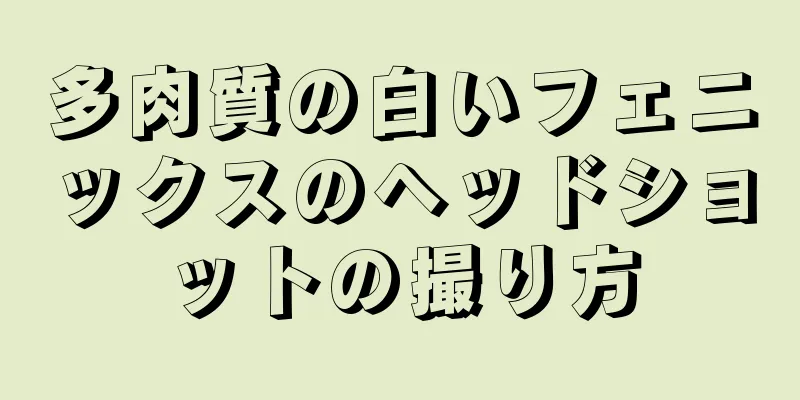 多肉質の白いフェニックスのヘッドショットの撮り方