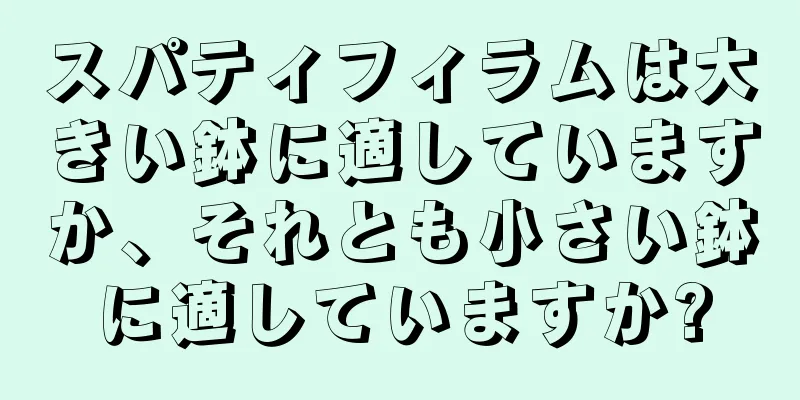 スパティフィラムは大きい鉢に適していますか、それとも小さい鉢に適していますか?