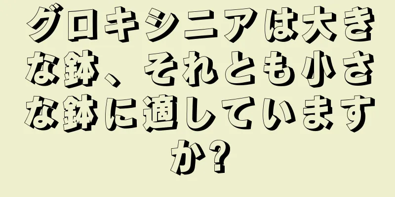 グロキシニアは大きな鉢、それとも小さな鉢に適していますか?