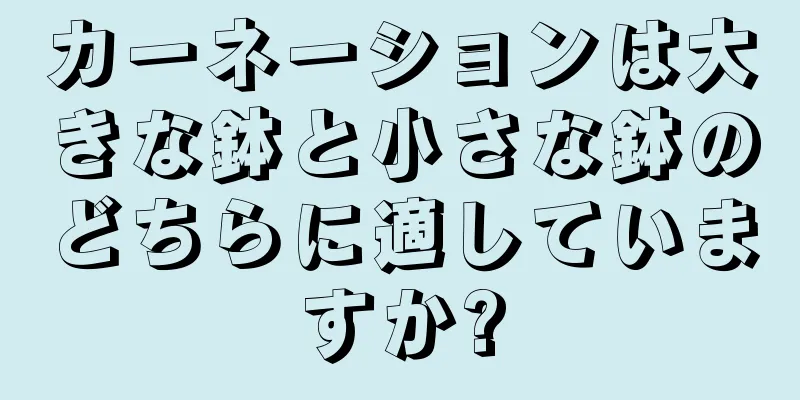 カーネーションは大きな鉢と小さな鉢のどちらに適していますか?