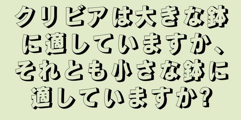 クリビアは大きな鉢に適していますか、それとも小さな鉢に適していますか?