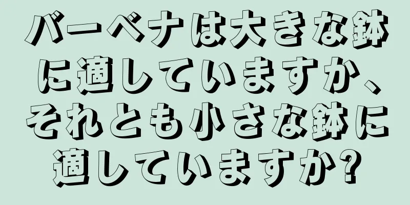 バーベナは大きな鉢に適していますか、それとも小さな鉢に適していますか?