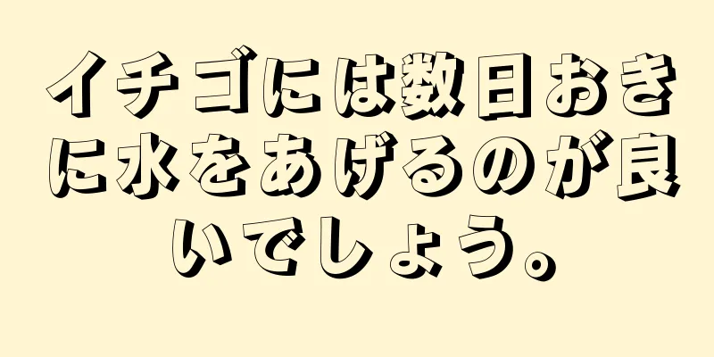 イチゴには数日おきに水をあげるのが良いでしょう。