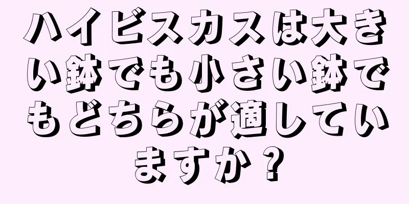 ハイビスカスは大きい鉢でも小さい鉢でもどちらが適していますか？