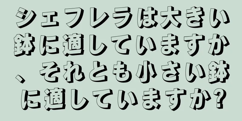シェフレラは大きい鉢に適していますか、それとも小さい鉢に適していますか?