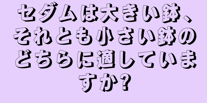 セダムは大きい鉢、それとも小さい鉢のどちらに適していますか?