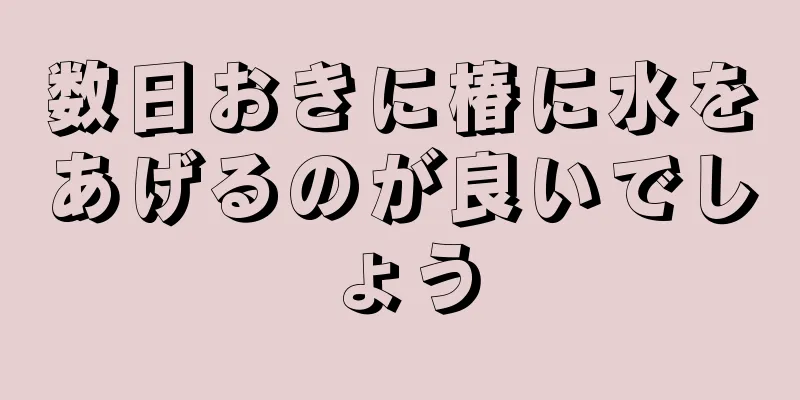 数日おきに椿に水をあげるのが良いでしょう
