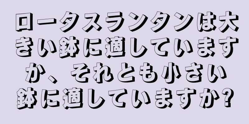 ロータスランタンは大きい鉢に適していますか、それとも小さい鉢に適していますか?