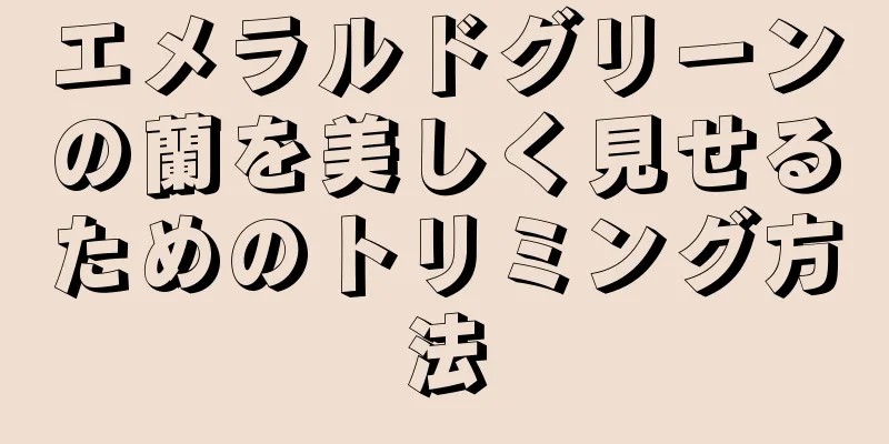 エメラルドグリーンの蘭を美しく見せるためのトリミング方法