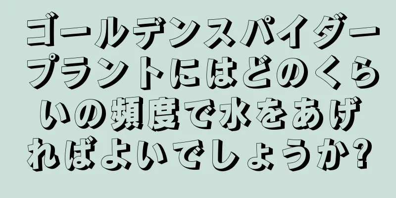 ゴールデンスパイダープラントにはどのくらいの頻度で水をあげればよいでしょうか?
