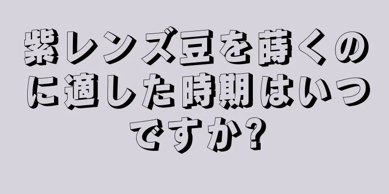 紫レンズ豆を蒔くのに適した時期はいつですか?