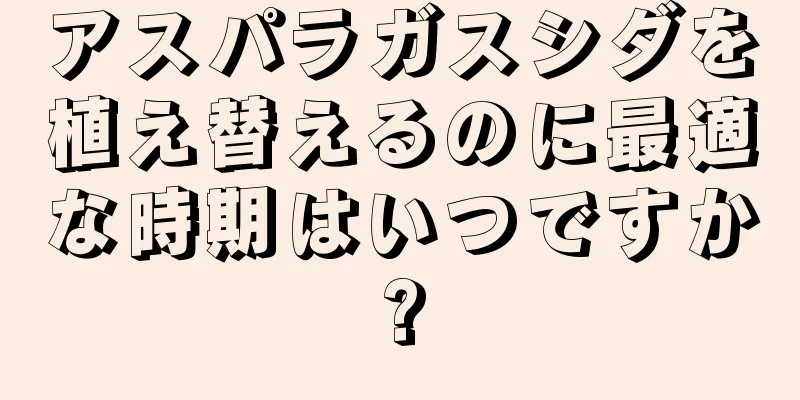 アスパラガスシダを植え替えるのに最適な時期はいつですか?