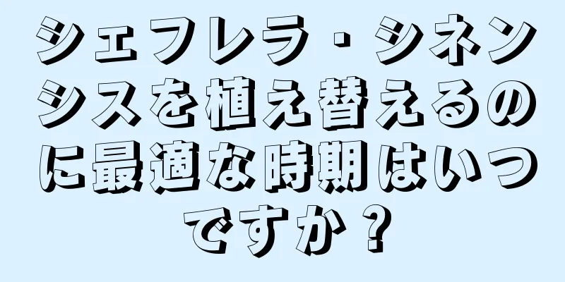 シェフレラ・シネンシスを植え替えるのに最適な時期はいつですか？