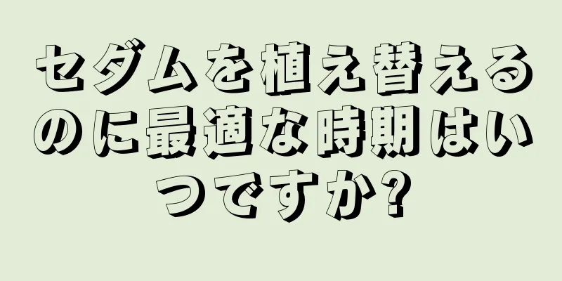 セダムを植え替えるのに最適な時期はいつですか?