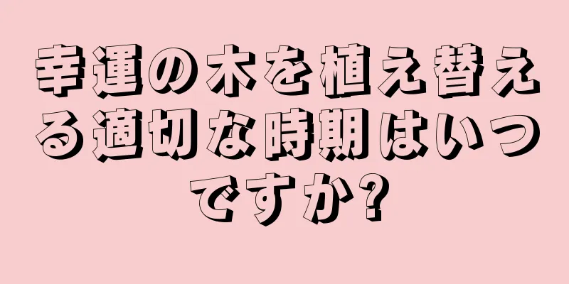 幸運の木を植え替える適切な時期はいつですか?