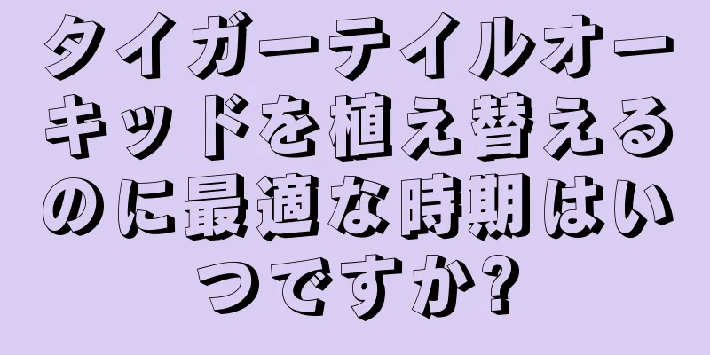 タイガーテイルオーキッドを植え替えるのに最適な時期はいつですか?