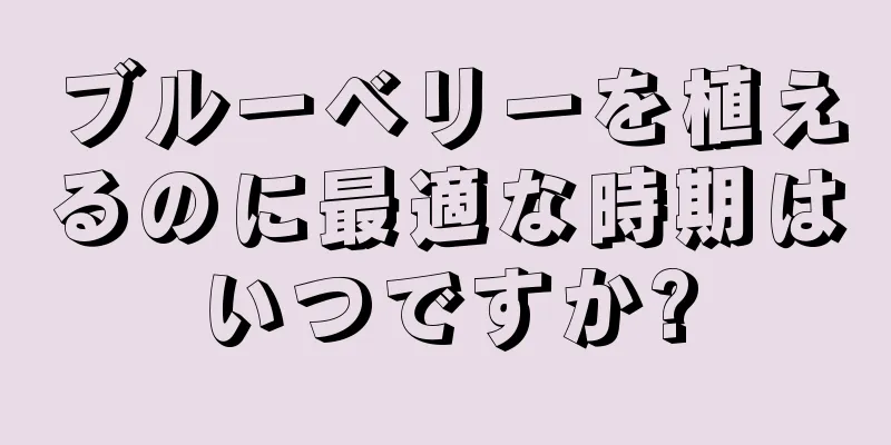 ブルーベリーを植えるのに最適な時期はいつですか?