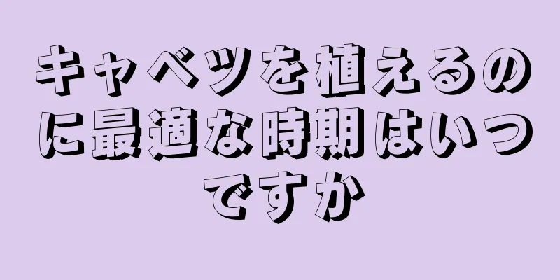 キャベツを植えるのに最適な時期はいつですか