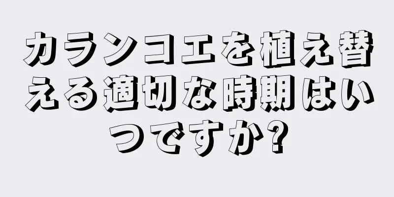 カランコエを植え替える適切な時期はいつですか?