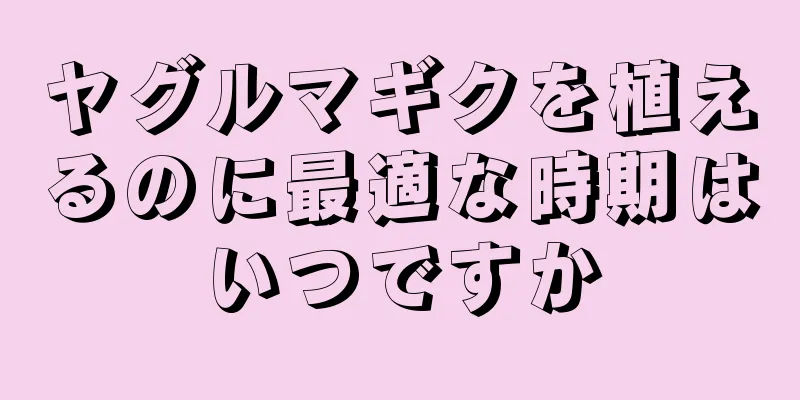 ヤグルマギクを植えるのに最適な時期はいつですか