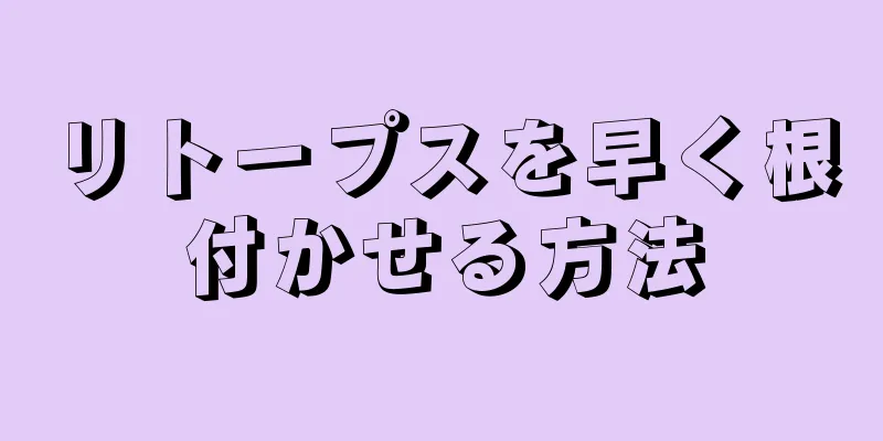 リトープスを早く根付かせる方法