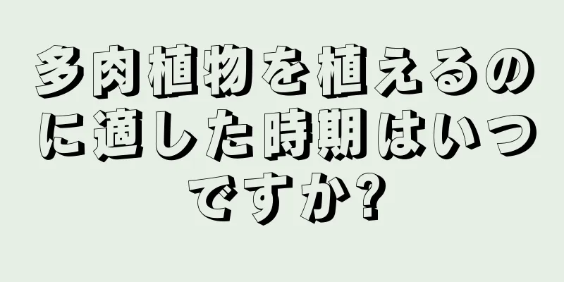 多肉植物を植えるのに適した時期はいつですか?